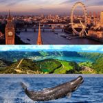 Passport and boarding passes are at the ready On Wednesday Im off to London and the Azores holiday london england uk unitedkingdom azores portugal spermwhale travel wanderlust instatravel travelgram vacation traveling trip  travelblogger livingthedream ExperienceCollectors hahnau adventure traveltheworld seetheplanet thetravellab